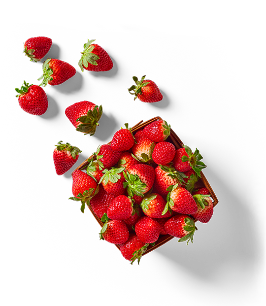 Strawberry Strawberry